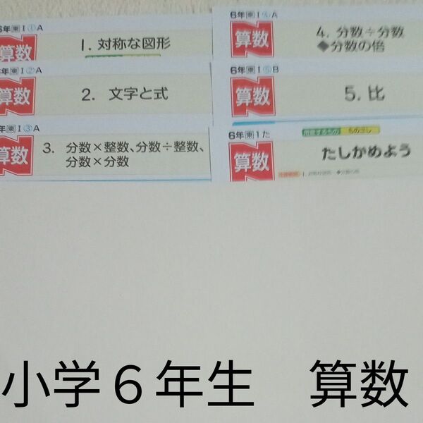 6年生 算数 東京書籍 ぶんけい カラーテスト 1学期 未使用 ラスト