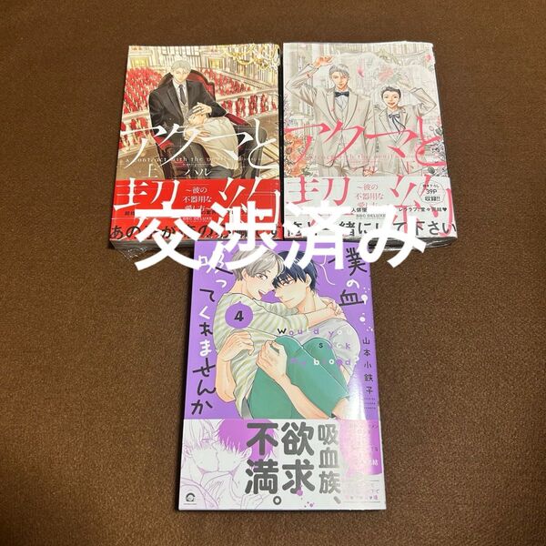 《交渉済み》ハル アクマと契約 彼の不器用な愛し方 上下 山本小鉄子 僕の血吸ってくれませんか④