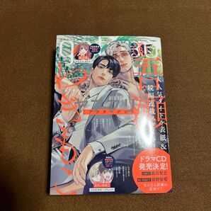 gateau ガトー 2025年8月