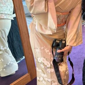 色留袖 帯 セット 正絹 ベージュ 着物