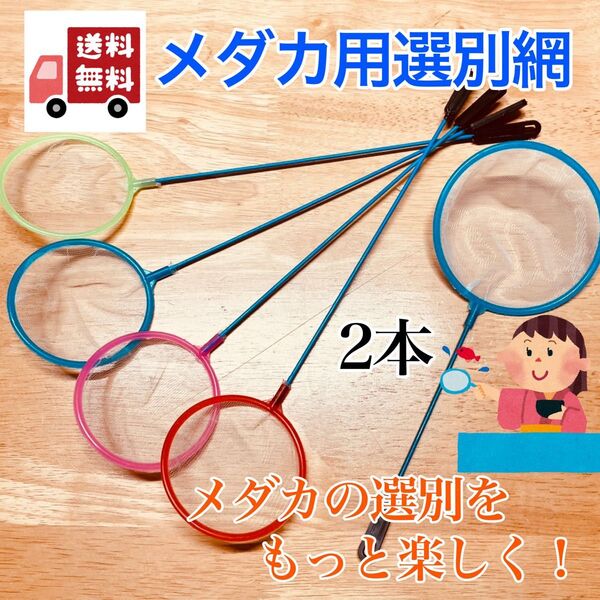 【送料無料】メダカ用選別網 2本 タモ