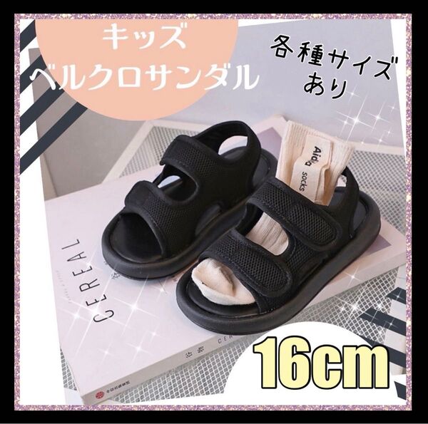 16cm キッズシューズ サンダル 水遊び 海水浴 プール 子供靴
