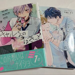 ギャルくんの恋はきっと・初恋はひなたに咲く 2冊セット
