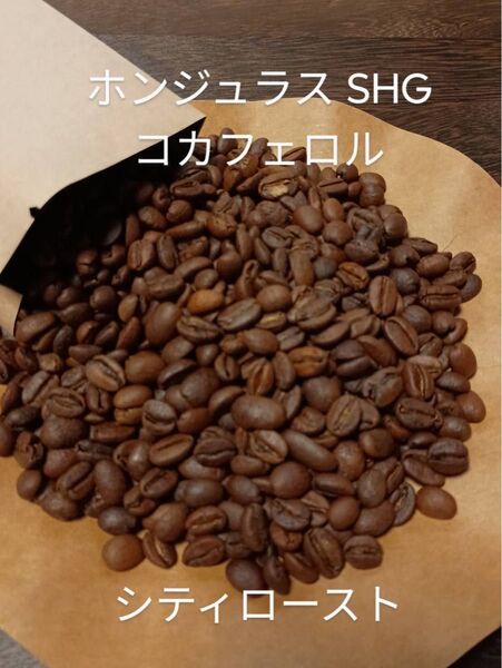 焙煎豆 ホンジュラスSHG コカフェロル100g コーヒー豆 自家焙煎 中深煎り 受注後に焙煎