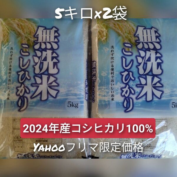 茨城県産コシヒカリ無洗米10キロ(5キロ×2袋)