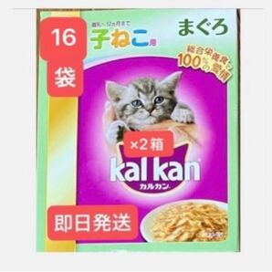 ★カルカン 子ねこ用(離乳〜12ヶ月まで) ★まぐろゼリー仕立て 70g×16袋