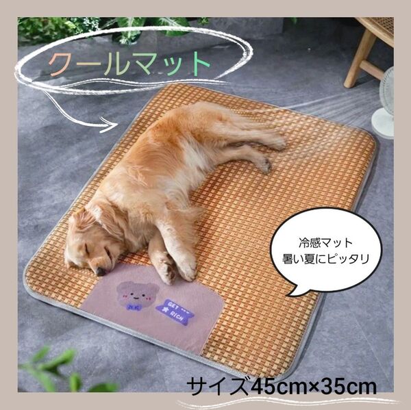 クールマット 接触冷感 ペット熱中症対策 夏用 犬 猫 ペットベッド ベア柄 洗える 清潔