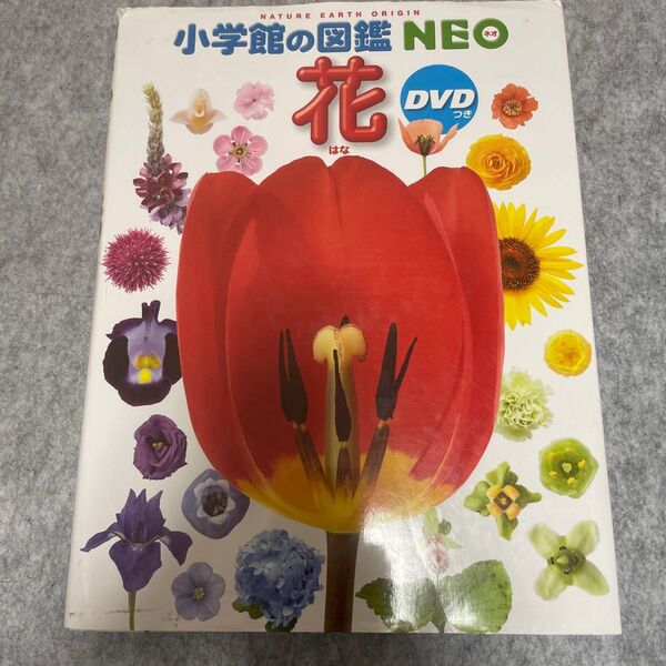 小学館の図鑑NEO 花 DVD無し 絵本 えほん 中古 知育 ずかん 自由研究に