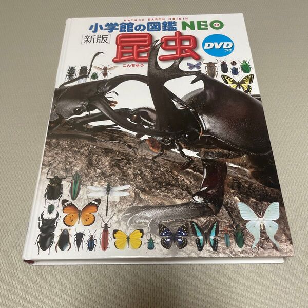 小学館の図鑑NEO 新版 昆虫 DVD無し 絵本 えほん 中古 知育 ずかん 自由研究に むし カバー無し