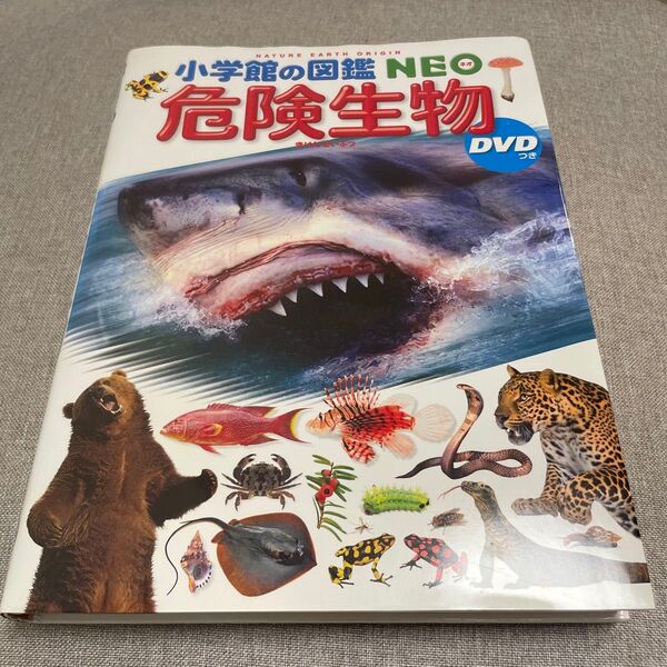 小学館の図鑑NEO 危険生物 DVD無し 絵本 えほん 中古 知育 ずかん 自由研究に