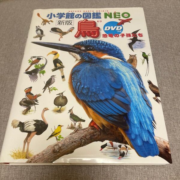 小学館の図鑑NEO 新版 鳥 DVD無し 絵本 えほん 中古 知育 ずかん 自由研究に とり