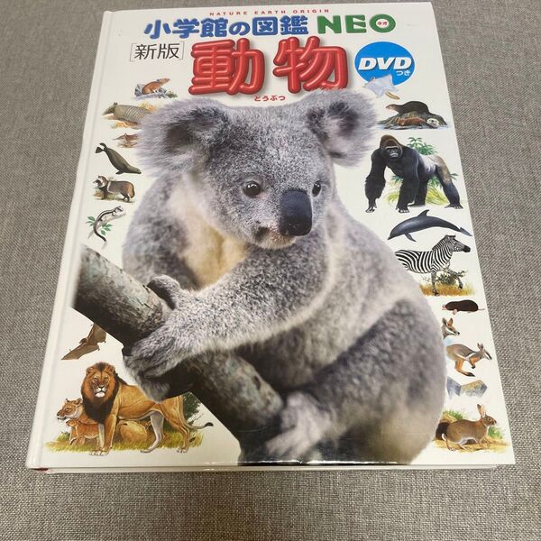 小学館の図鑑NEO 新版 動物 DVD無し 絵本 えほん 中古 知育 ずかん 自由研究に カバー無し