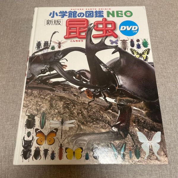小学館の図鑑NEO 新版 昆虫 DVD無し 絵本 えほん 中古 知育 ずかん 自由研究に むし