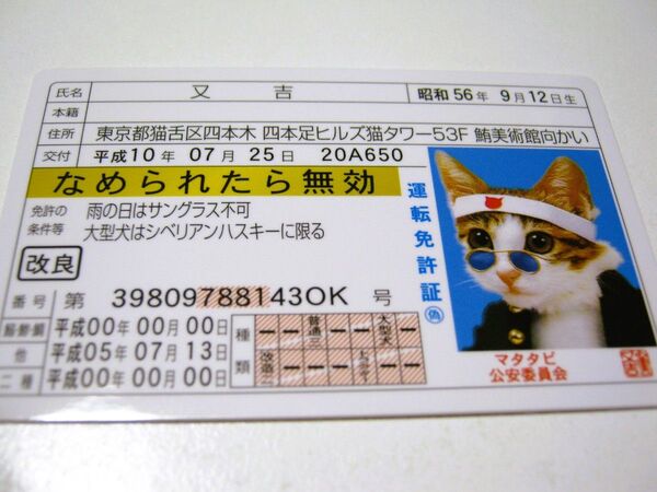 【なめ猫 免許証風 ブロマイド 又吉】なめんなよ猫 なめねこ ゴールド免許 癒し かわいい 可愛い ネコ 猫 コスプレ トレカ