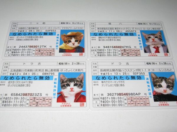 パロディ免許証【なめ猫 ブロマイド 4枚セット】なめんなよ猫 なめねこ 癒やし 猫 かわいい 可愛い ネコ コスプレ トレカ 癒し