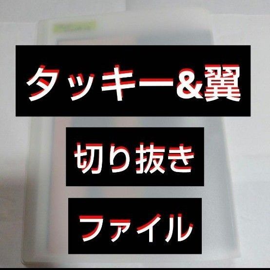 【最終値下げ】タッキー&翼 切り抜きファイル1冊 雑誌13冊分 41枚