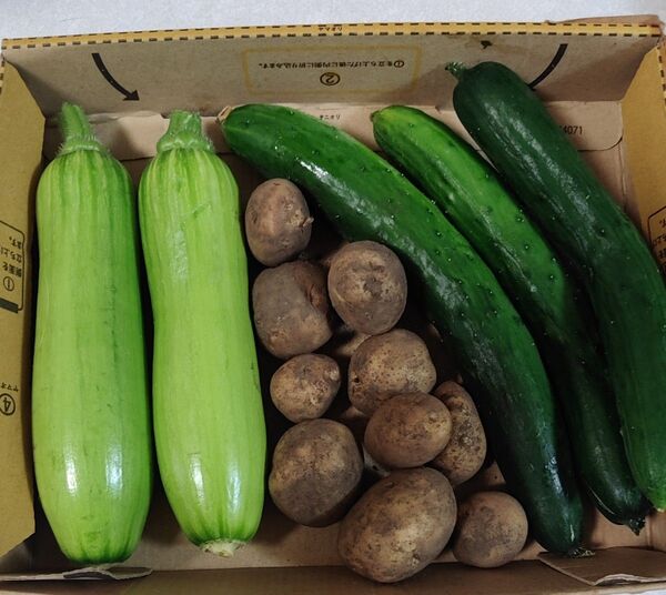 野菜セット