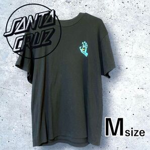 美品 SANTA CRUZ サンタクルーズ ウィメンズ Tシャツ レア 半袖 Mサイズ グレー 水色 パープル