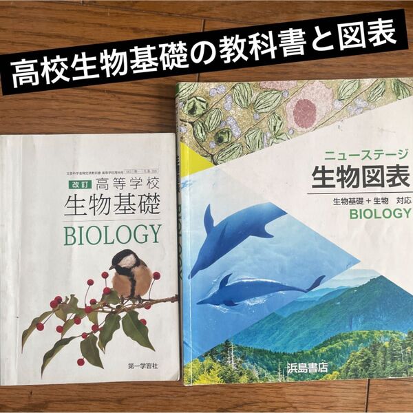 高校生物基礎の教科書と図表のセット(高等学校生物基礎)
