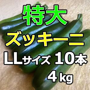特大ズッキーニLLサイズ10本、約4kg