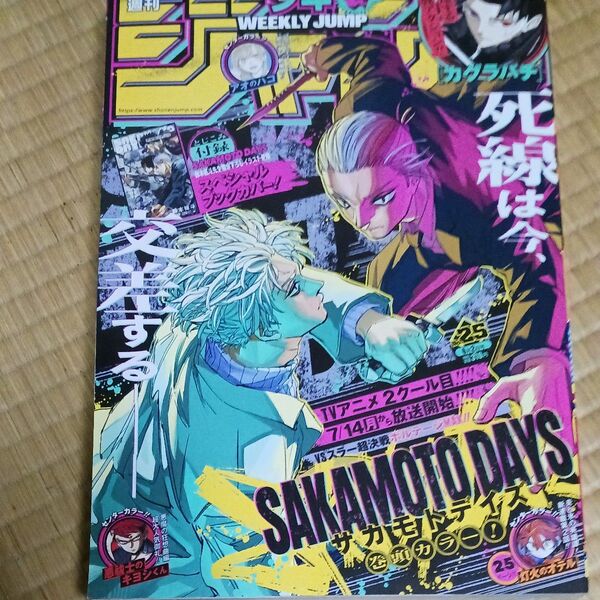 週刊少年ジャンプ 2025年6月2日号 (集英社)