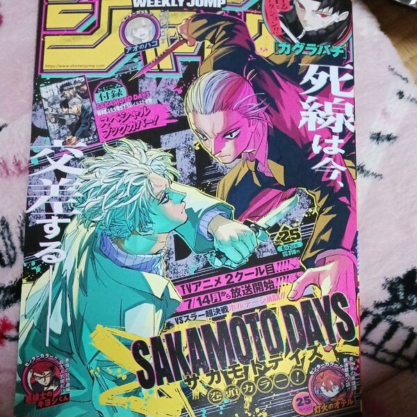 週刊少年ジャンプ 2025年6月2日号 (集英社)