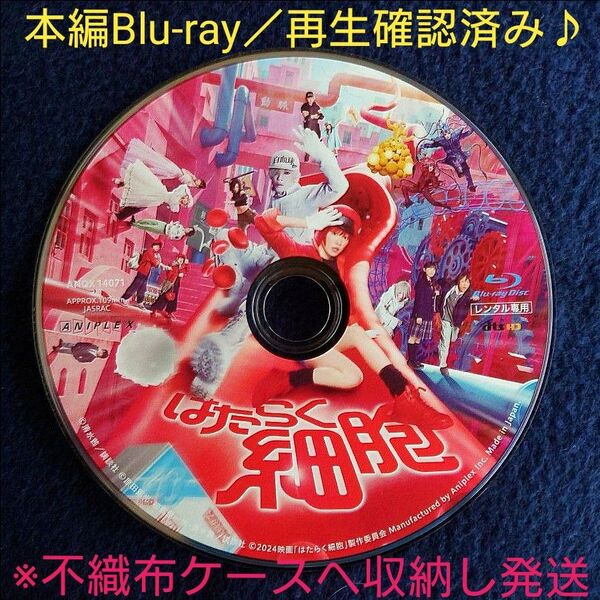 映画 実写版 はたらく細胞 本編Blu-ray ディスクのみ【最終特価】