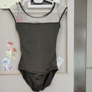 Dessus Dessous フレンチスリーブレオタード