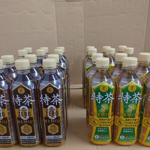 サントリー 伊右衛門 特茶 緑茶 カフェインZERO 500ml 24本