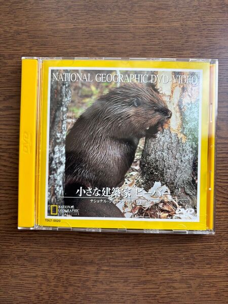 小さな建築家ビーバー ナショナルジオグラフィック DVDビデオ アメリカビーバー 東芝
