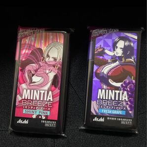 ONE PIECE グッズ ワンピース ミンティア ケース