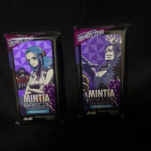 【アラバスタ】 ワンピース ケース