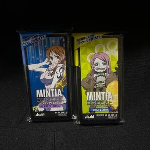 ミンティア ワンピース ケース