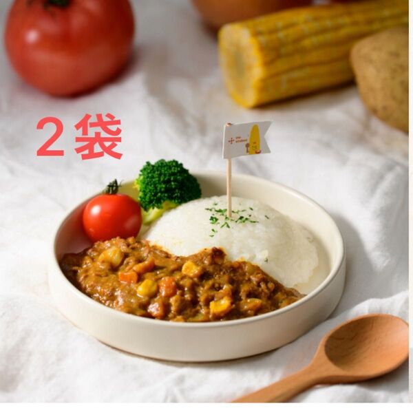 the kindest カインデスト 豚ひき肉とたっぷり野菜のカレー 2袋