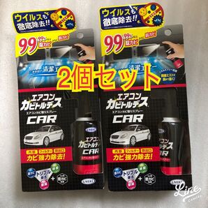 エアコンカビ取りスプレー80ml 『カビトルンデス』2個セット ウイルス徹底除去 防カビ