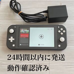 24時間以内に発送 Nintendo Switch Lite ニンテンドースイッチライト グレー 本体 充電器付き