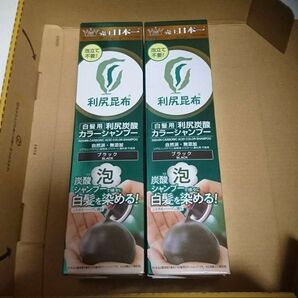 新品★利尻昆布 白髪用 利尻炭酸カラーシャンプー ブラック × 2本