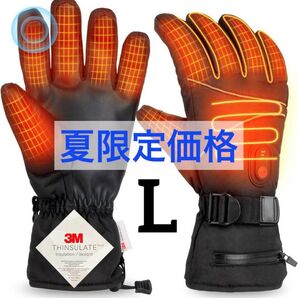 電熱グローブ 3Mシンサレート 電熱手袋 ヒーター手袋 タッチパネル 裏起毛 L バイク 加熱グローブ