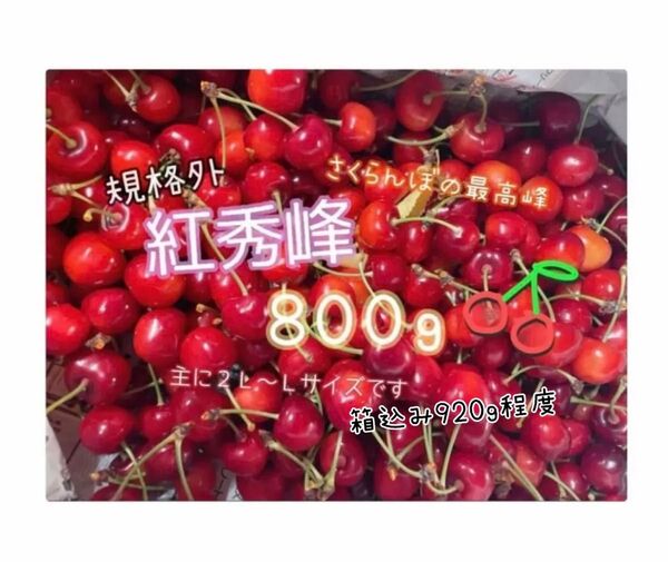 ( 1 ) 金曜以降発送予定《規格外》さくらんぼ 紅秀峰 山形県産 箱の重さ抜きで800g 家庭用 傷もの 訳あり