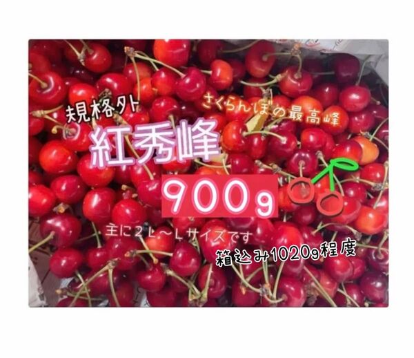 ( 2 ) 《規格外》さくらんぼ 紅秀峰 山形県産 箱の重さ抜きで900g 家庭用 傷もの 訳あり