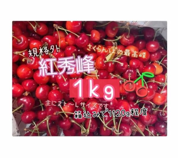 ( 4 ) 今週末発送予定《規格外》さくらんぼ 紅秀峰 山形県産 箱の重さ抜きで1kg 家庭用 傷もの 訳あり