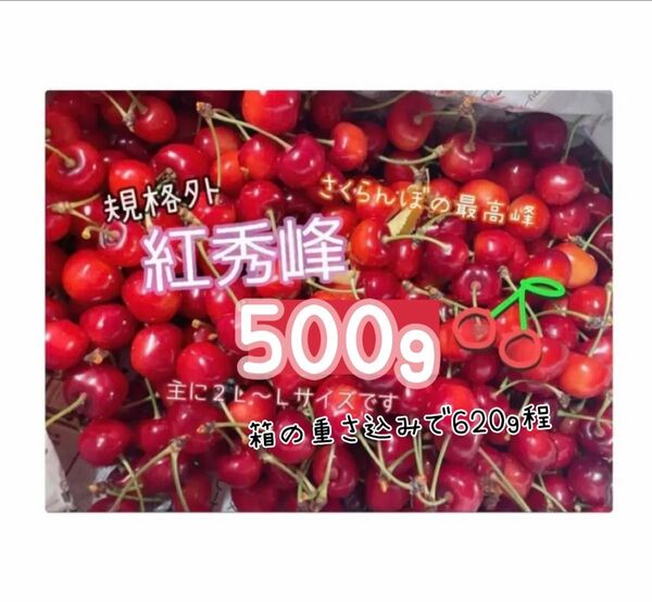 ( 12 ) 本日発送予定!《規格外》さくらんぼ 紅秀峰 山形県産 箱の重さ抜きで500g 家庭用 傷もの 訳あり