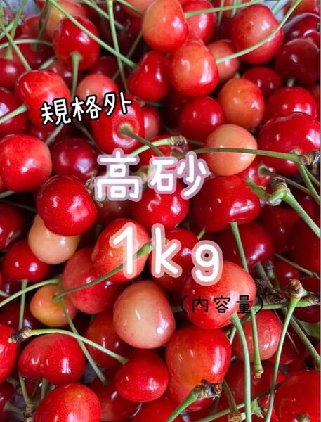 《規格外》さくらんぼ 高砂 山形県産 1kg 家庭用