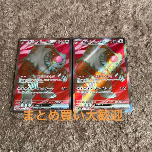 ガチグマsr2枚