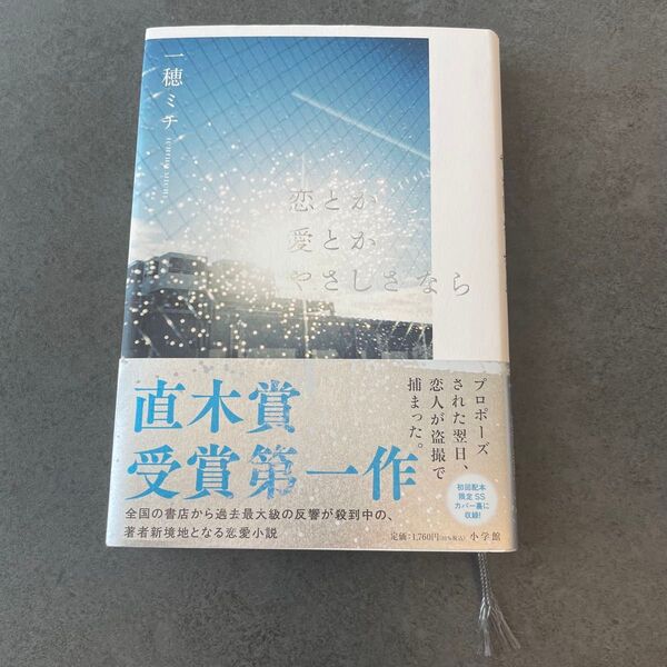 恋とか愛とかやさしさなら 一穂ミチ