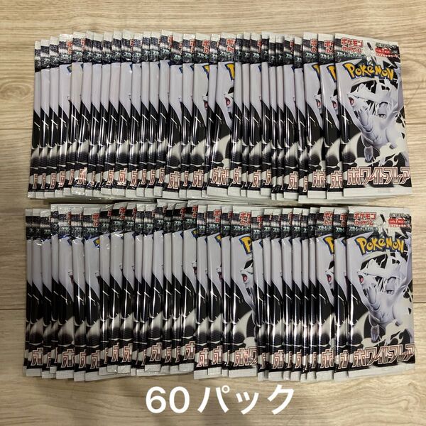 ホワイトフレア 60パック 3 BOX分 未開封パック サーチ済み ポケモンカード