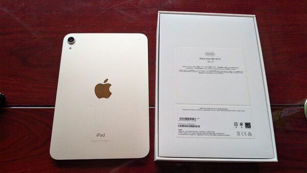 iPad mini 6th 64GB 第6世代 Wi-Fi Apple