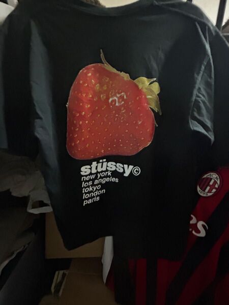 STUSSY ステューシー ストロベリーTシャツ
