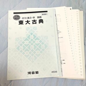 河合塾 2018冬期講習 東大古典