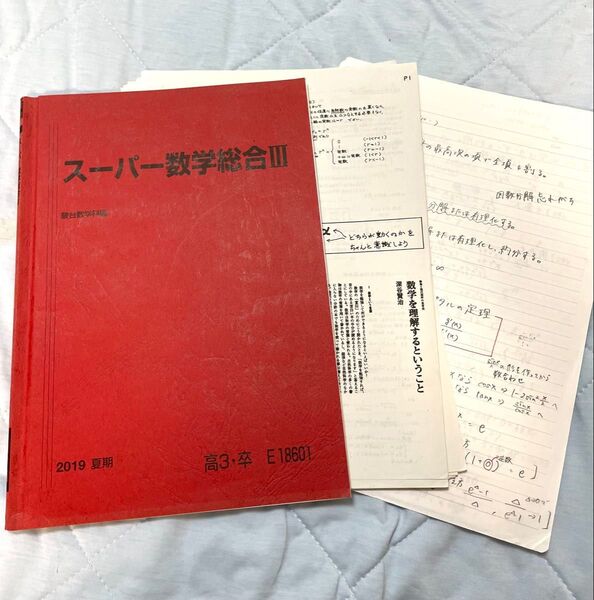 駿台 2019夏期 スーパー数学総合Ⅲ 桂 裕一郎 師
